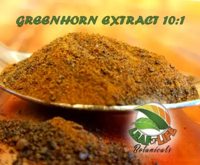 Greenhorn Kratom Extract 10:1