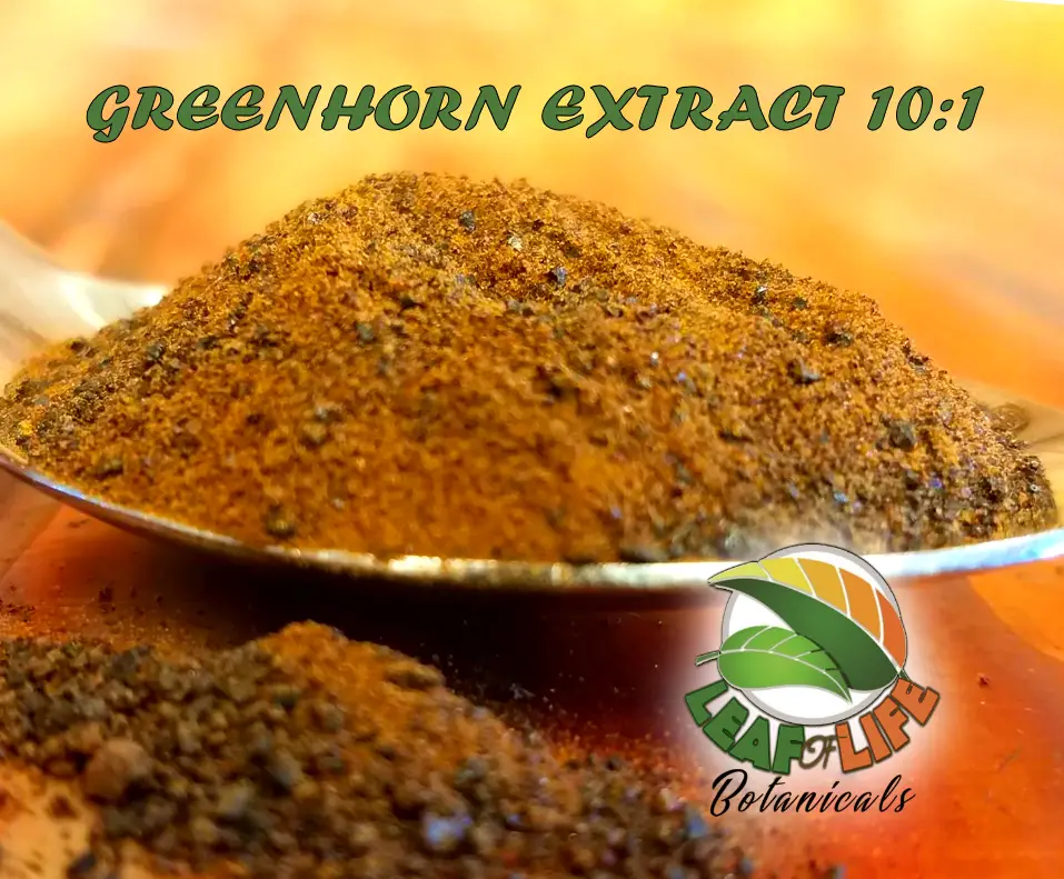 Greenhorn Kratom Extract 10:1